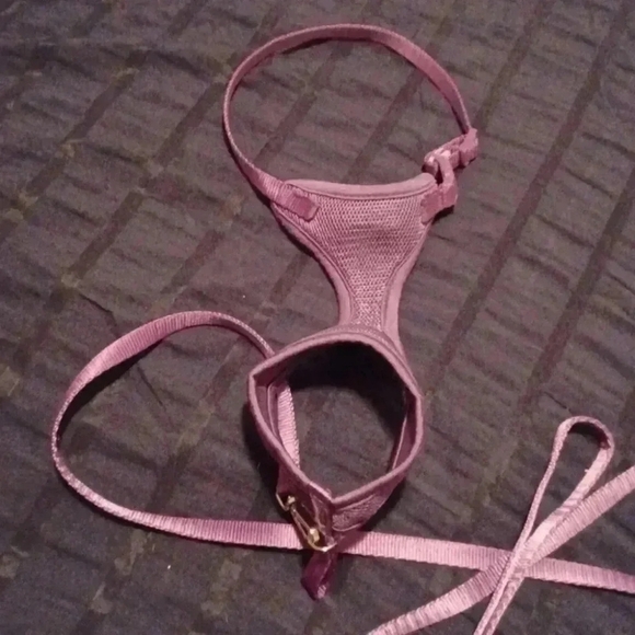 💙🌺 dog/cat harness and leash with 2 free gifts - Picture 11 of 11